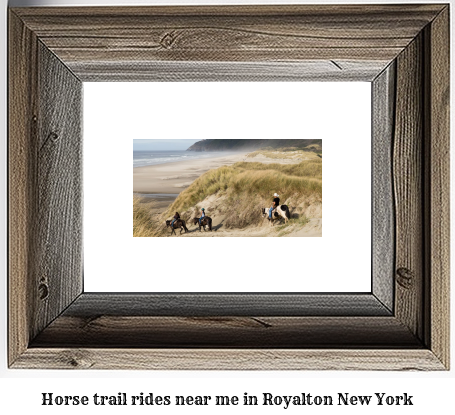 horse trail rides near me in Royalton, New York